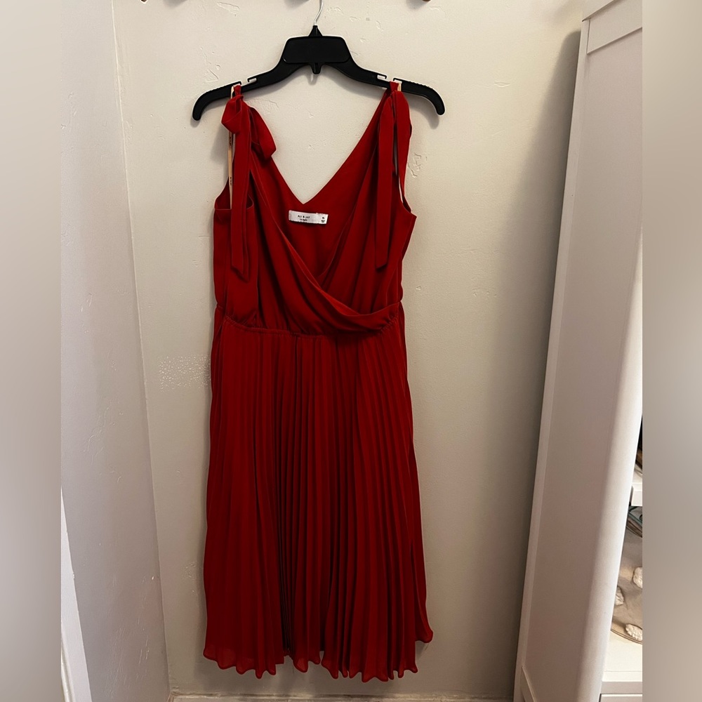 Rust Orange Ali & Jay Pleated Dress